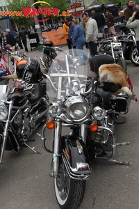 Harley Days 2010