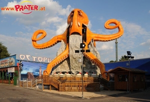 Octopus