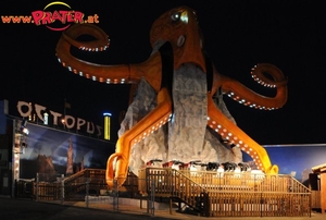 Octopus