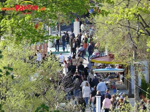 Frühling im Prater