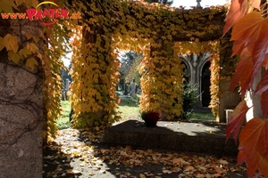 Zentralfriedhof