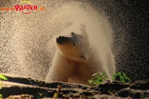 Photo-Adventure