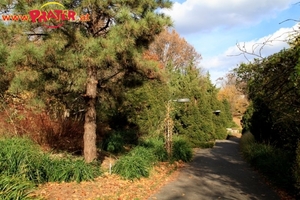 Kurpark Oberlaa