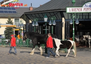 Prater erwacht