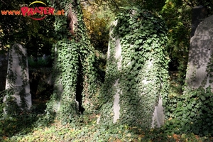 Zentralfriedhof