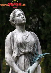 Zentralfriedhof