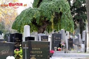 Zentralfriedhof