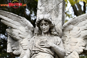Zentralfriedhof
