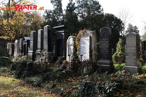 Zentralfriedhof