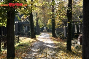 Zentralfriedhof