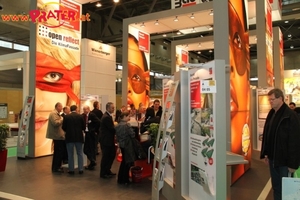 Bauen & Energie 2011