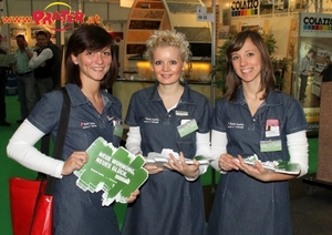 Bauen & Energie 2011