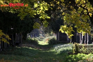 Zentralfriedhof