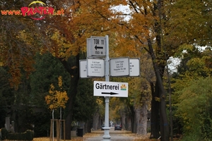 Zentralfriedhof
