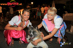 Dirndl und hund