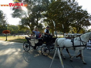 Ben Becker im Prater