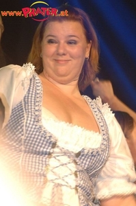 Wiener Wiesn