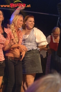 Wiener Wiesn