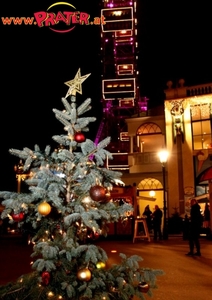 Wintermarkt 2011