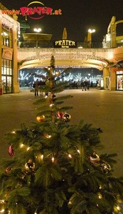 Wintermarkt