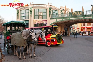 Wintermarkt