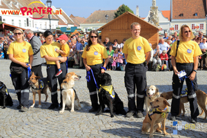 Weinfest in Retz