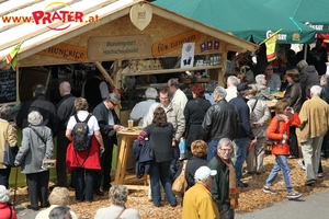 Steirer am Rathausplatz