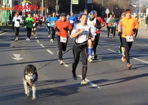 Silvesterlauf