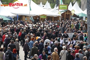 Steirer am Rathausplatz