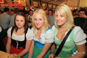 Wiener Wiesn