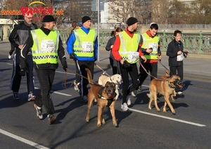 Silvesterlauf