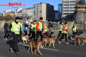 Silvesterlauf