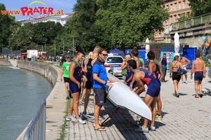 Regatta am Donaukanal