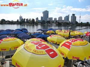 Alte Donau