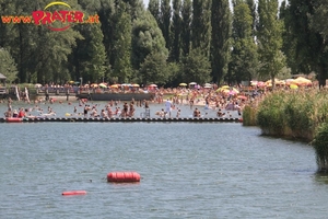 Alte Donau