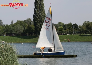 Alte Donau