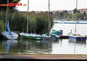 Alte Donau