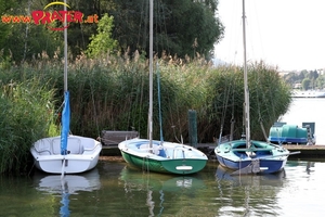 Alte Donau