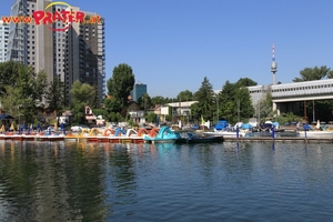 Alte Donau