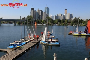 Alte Donau