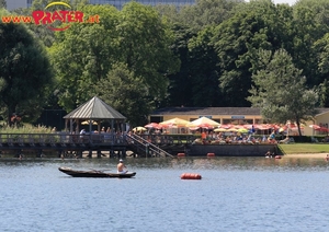 Alte Donau