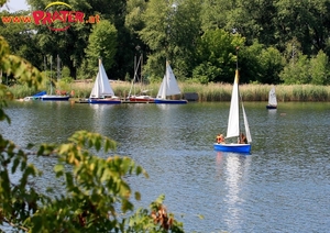 Alte Donau