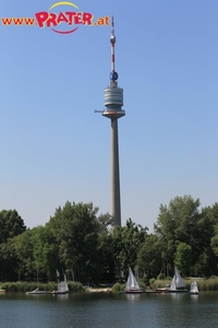 Alte Donau