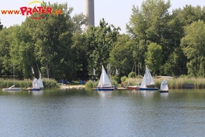 Alte Donau