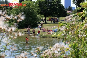 Alte Donau