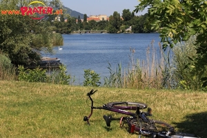 Alte Donau
