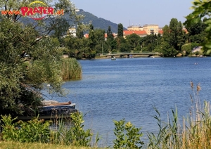 Alte Donau