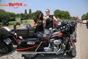Harley Davidson