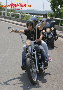 Harley Davidson