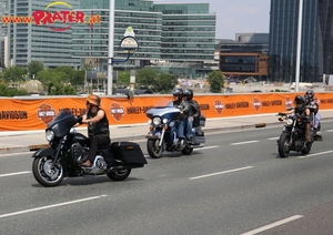 Harley Davidson